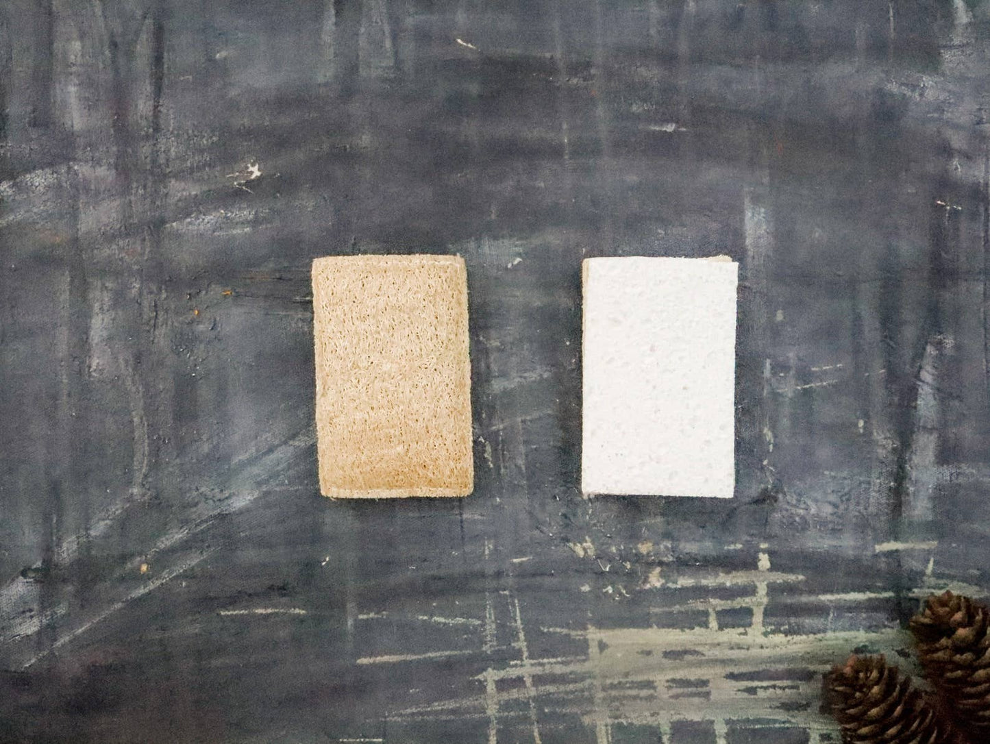 Eco Sponge: Single