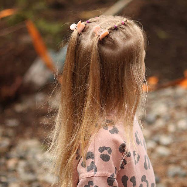 Butterfly Claw Clips - Pair of 2