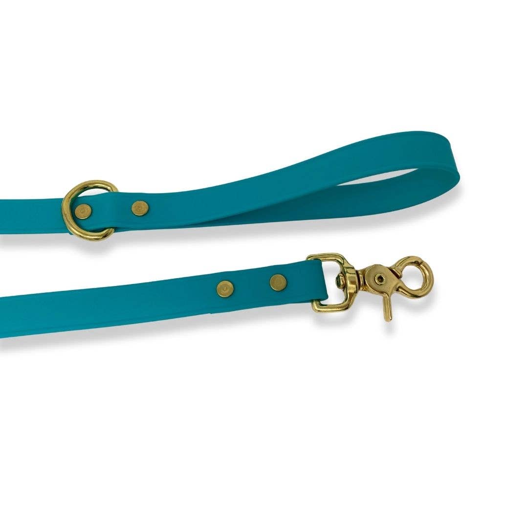 RMD Biothane Leashes: 5 ft