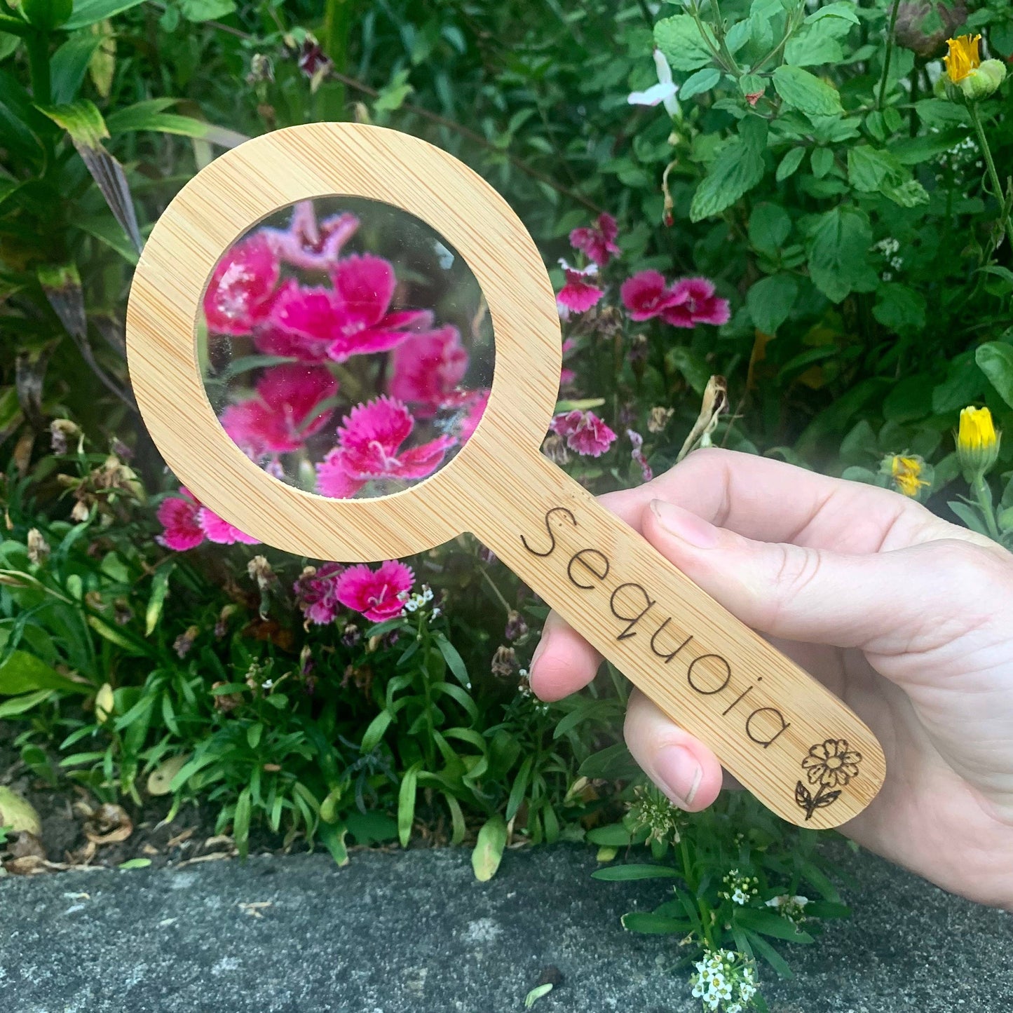 Magnifying Glass