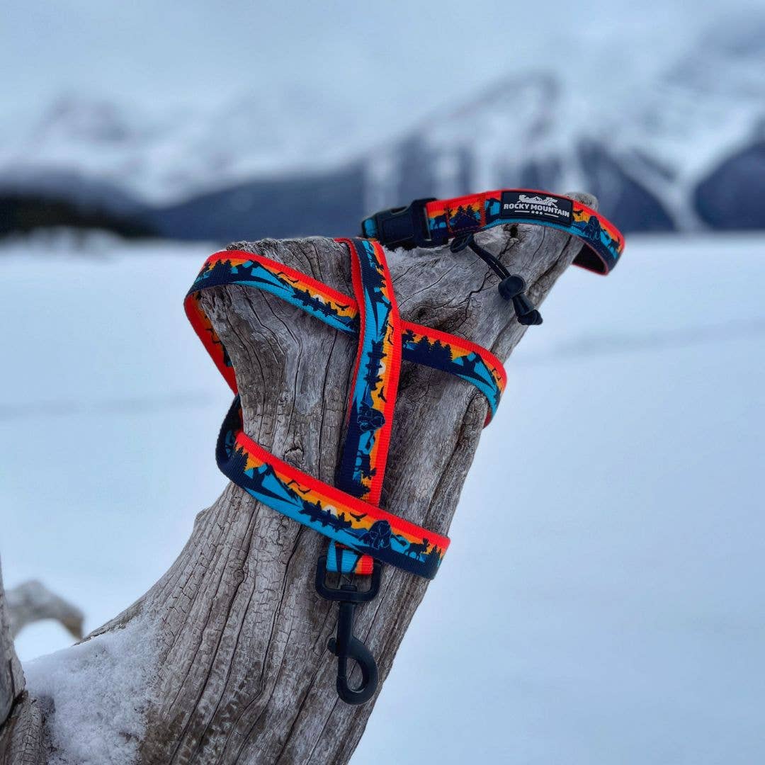 Banff All-Mountain Dog Leash