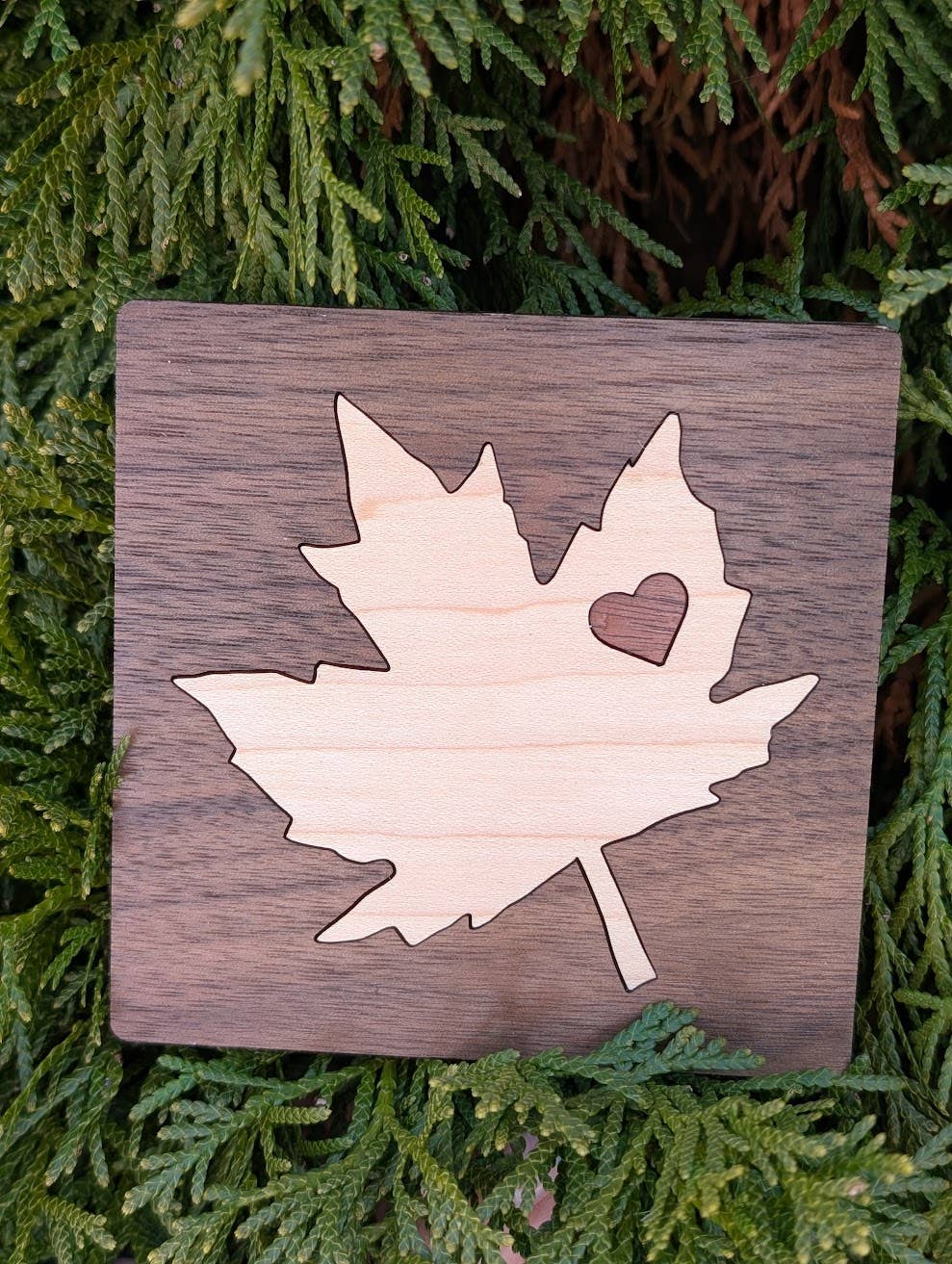 Maple Leaf Wood Inlay Coaster - Made in Canada: Walnut with Maple