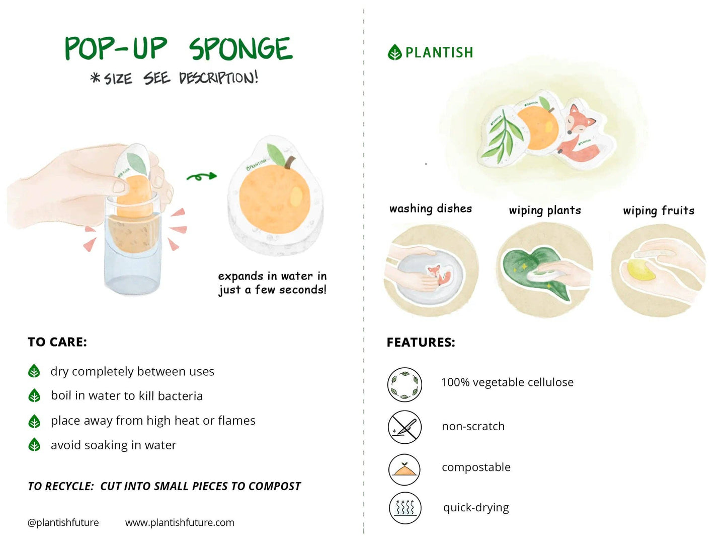 Orca - Pop up Sponge