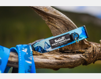 Kootenay Alpine Dog Collar: Green