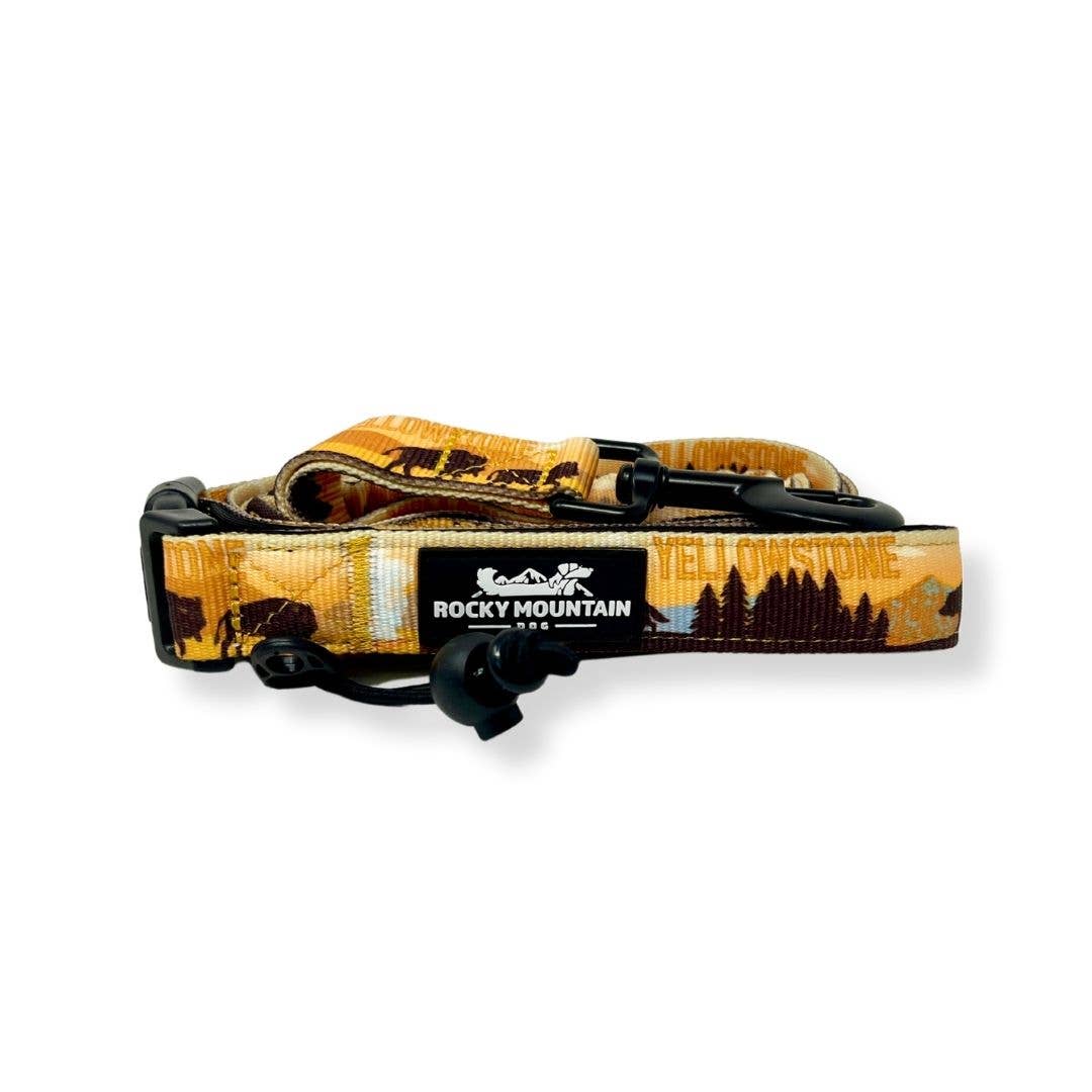 Yellowstone All Mountain Dog Leash: 6 Ft