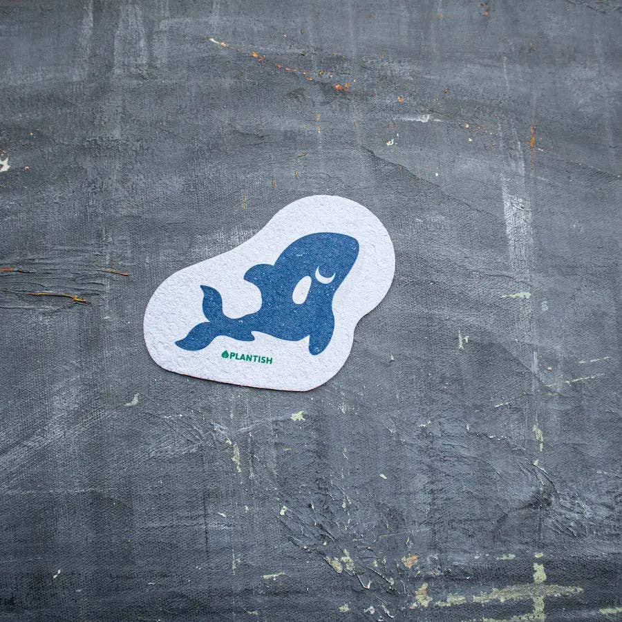 Orca - Pop up Sponge