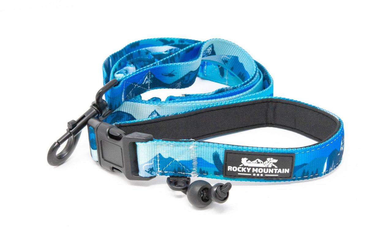 Kootenay All-Mountain Dog Leash: Blue (Winter) / 6 ft leash