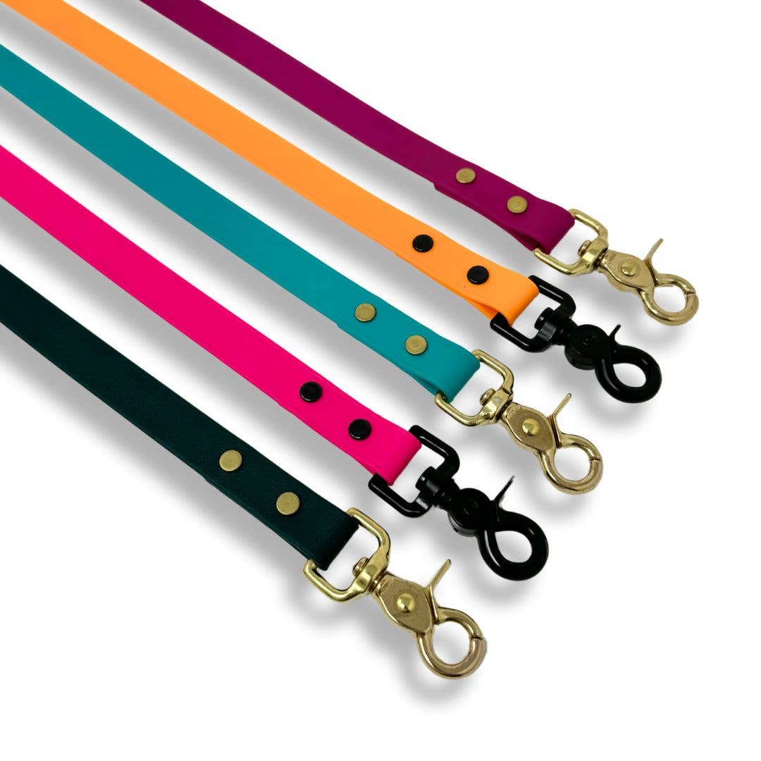 RMD Biothane Leashes: 5 ft