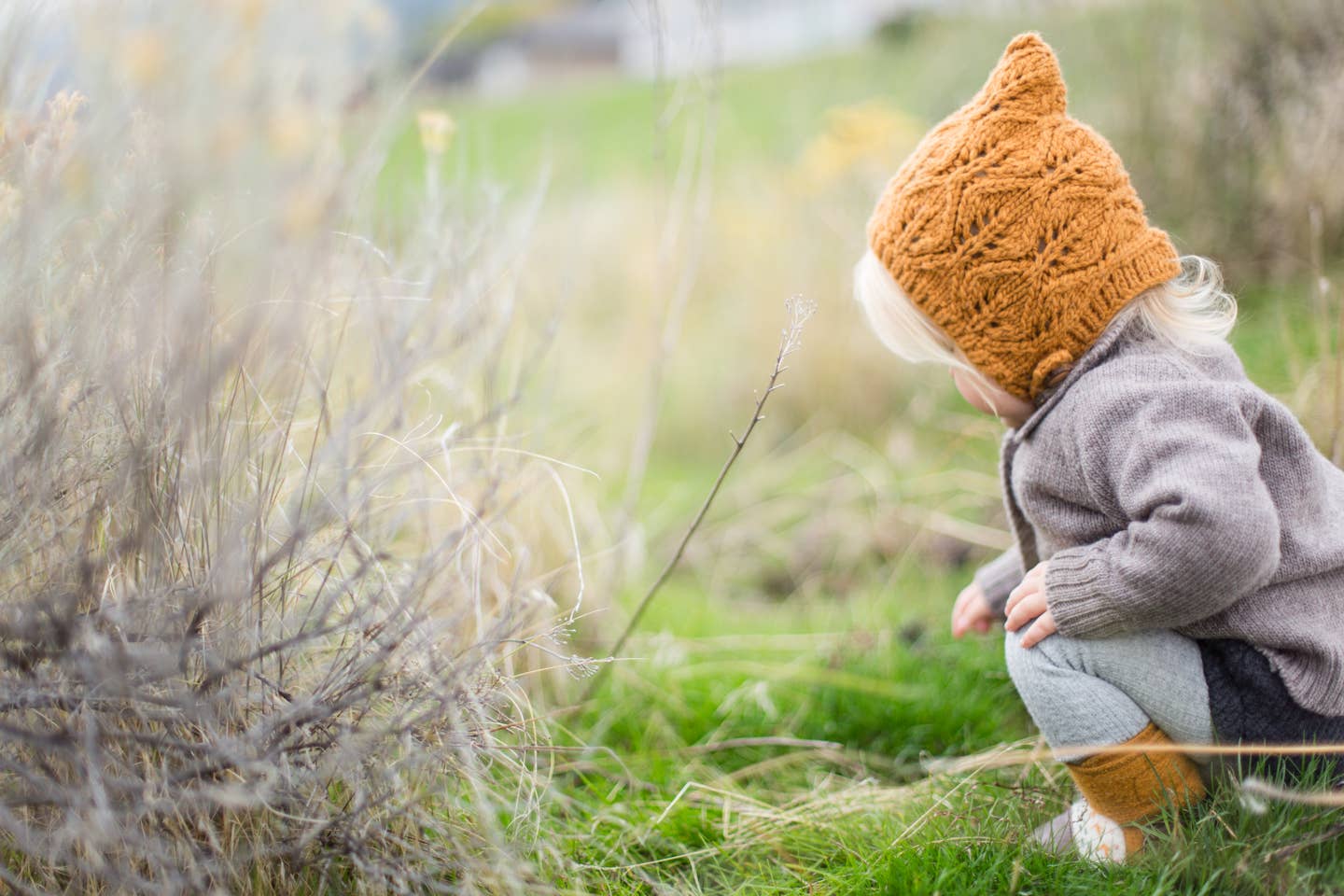 Golden Spruce Merino Wool Knit Bonnet