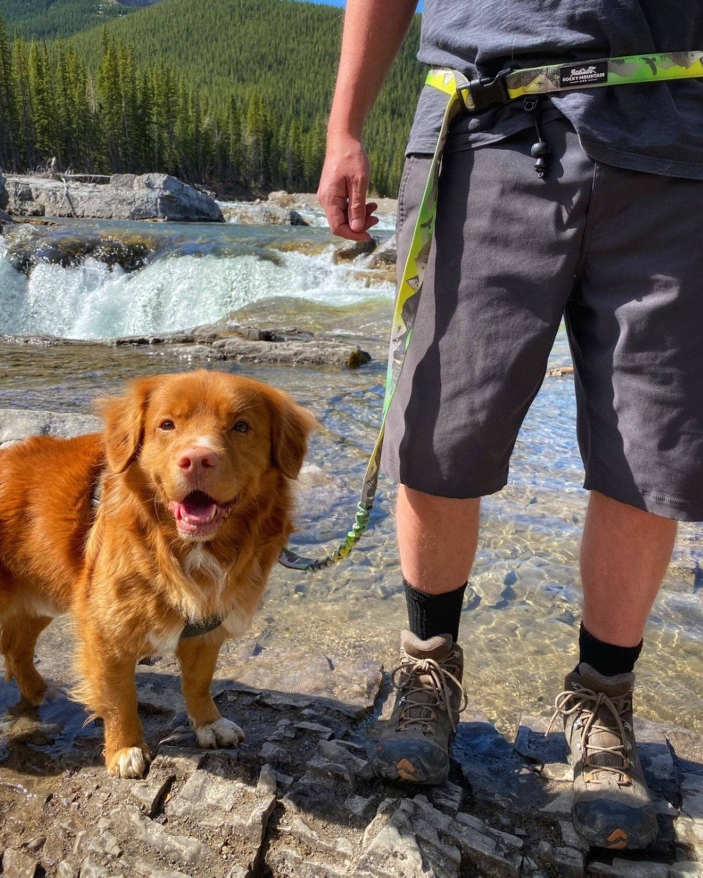 Kootenay All-Mountain Dog Leash: Green (Summer) / 6 ft leash