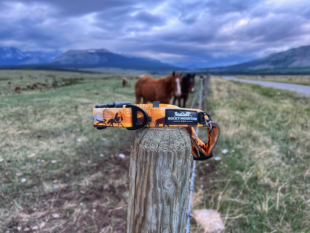 Yellowstone All Mountain Dog Leash: 6 Ft