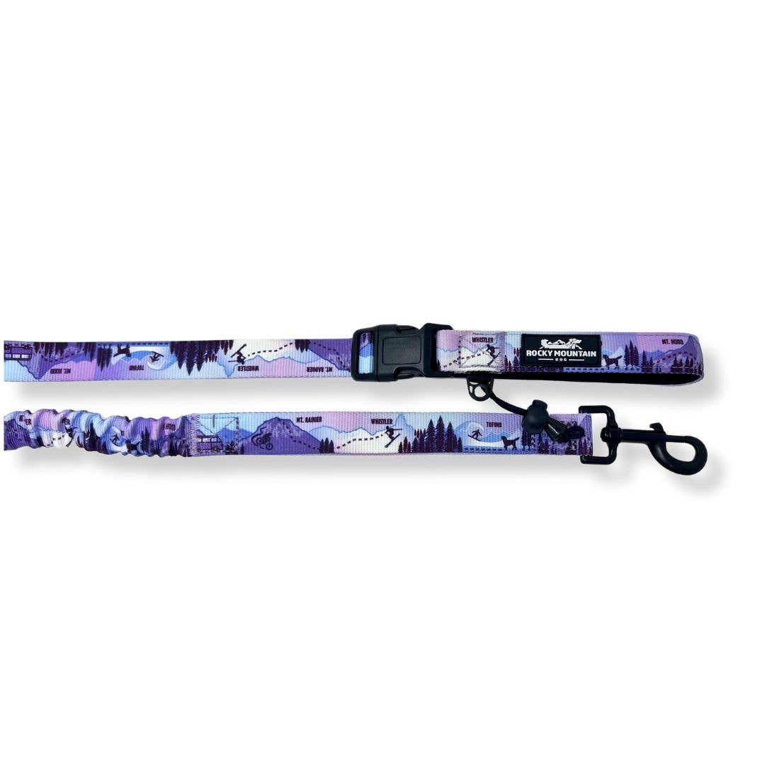 PNW All-Mountain Dog Leash: Reef / 6 ft leash