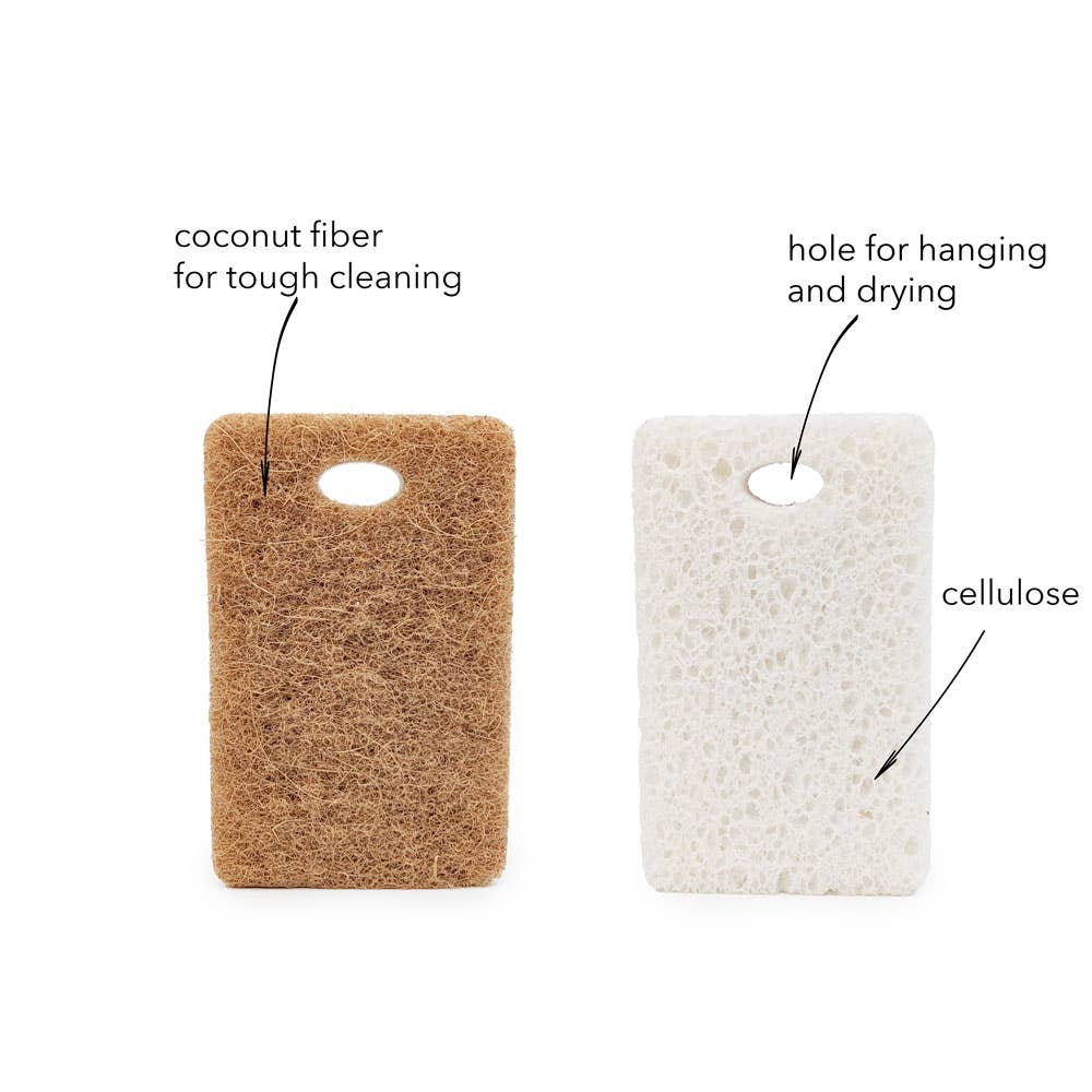 Walnut and Cellulose Biodegradable Scrubber Sponge: White