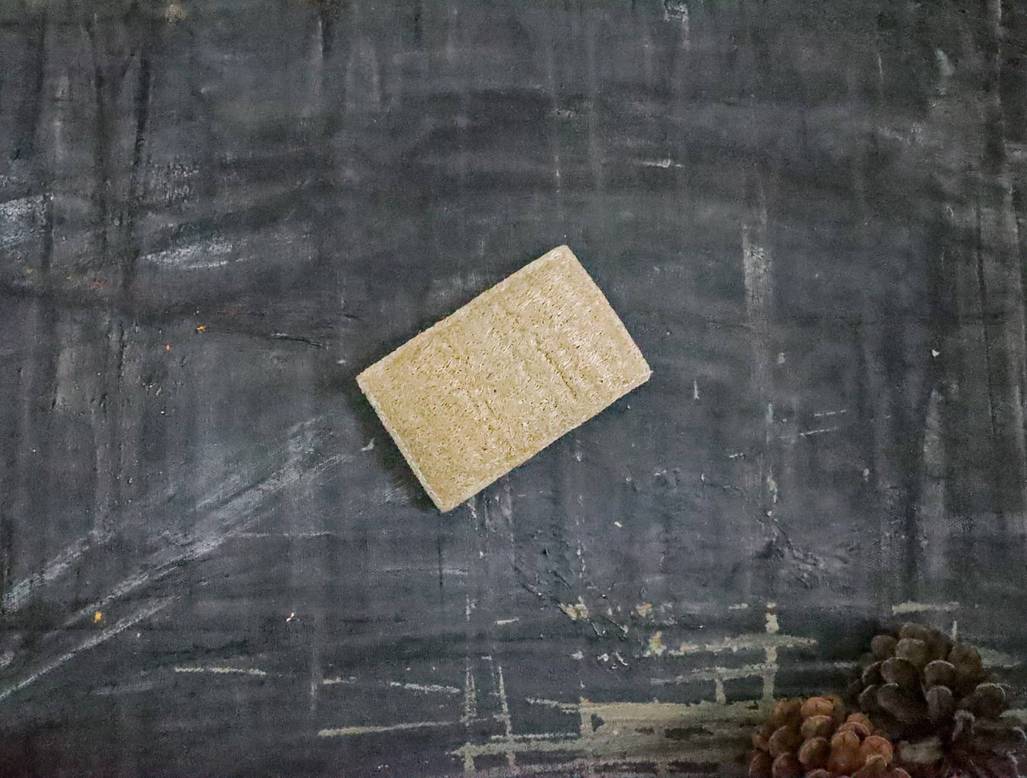 Eco Sponge: Single