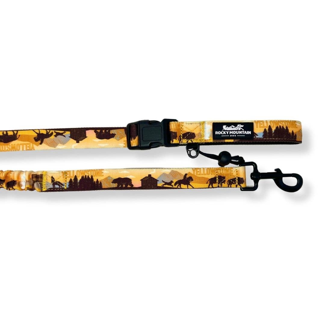 Yellowstone All Mountain Dog Leash: 6 Ft