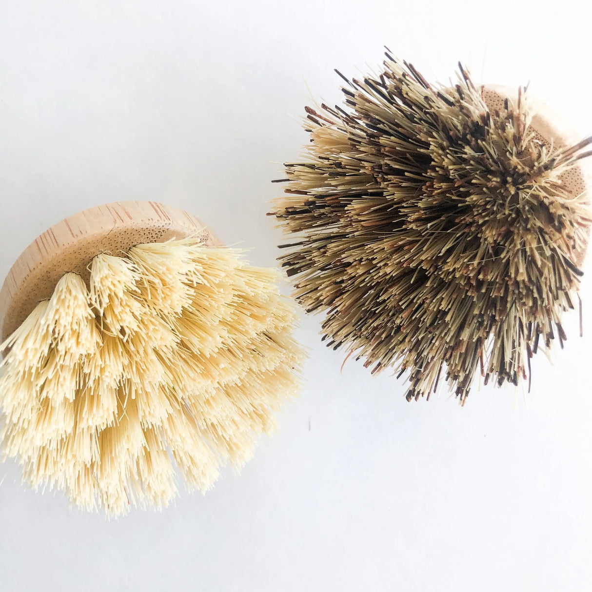 Natural Bamboo Pot & Dish Brush With Replaceable Head: Palm Brush