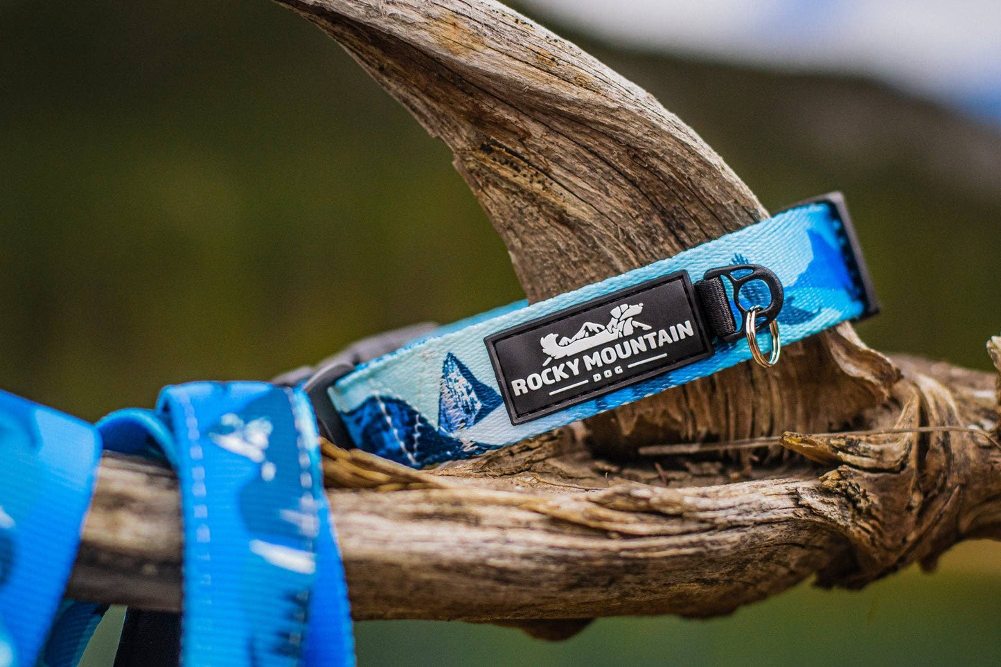 Kootenay Alpine Dog Collar: Green