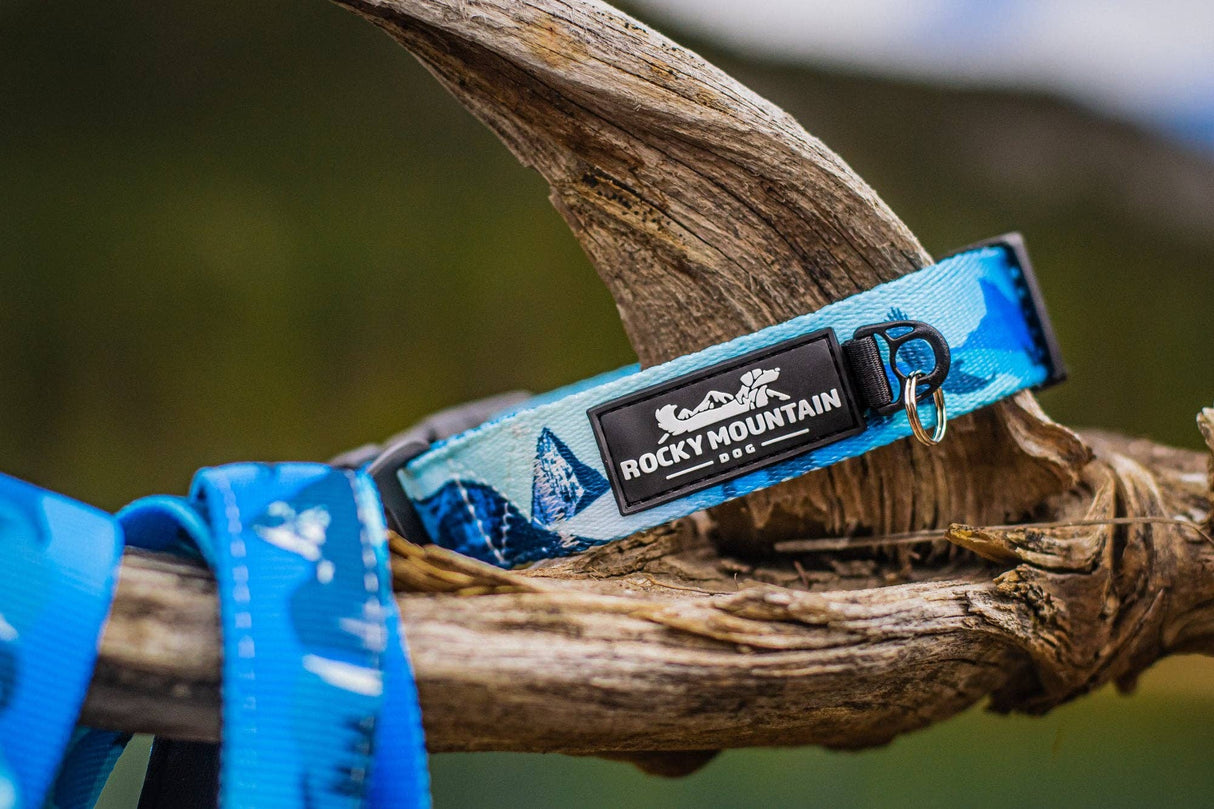 Kootenay Alpine Dog Collar: Blue