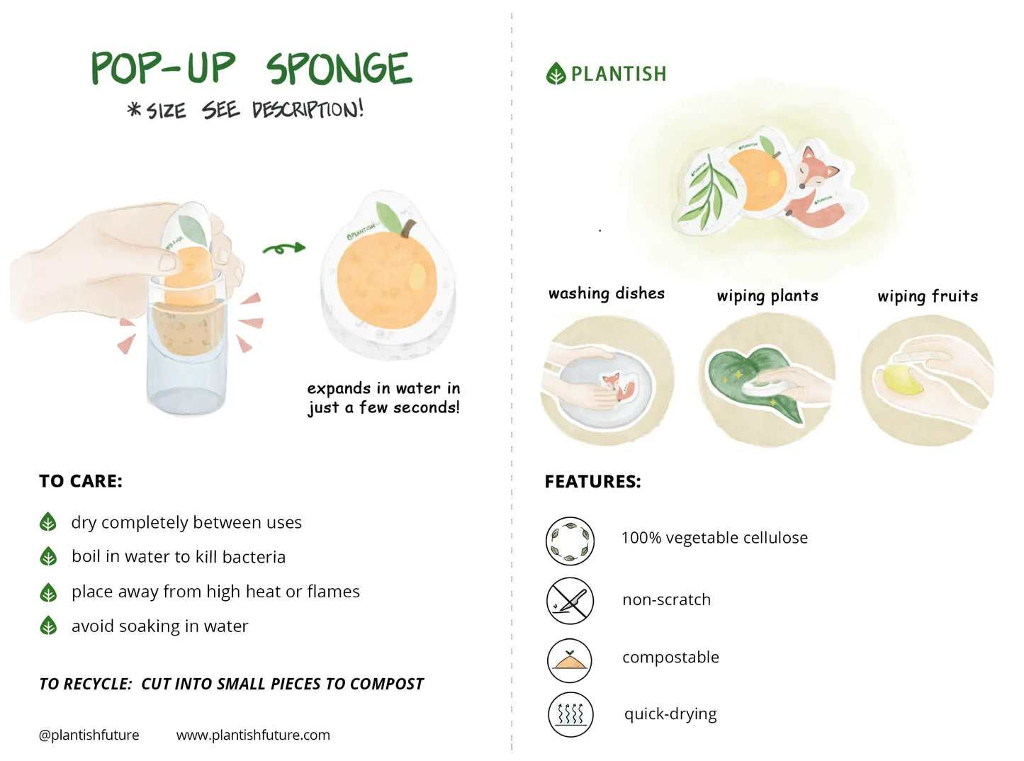 Whale - Pop up Sponge