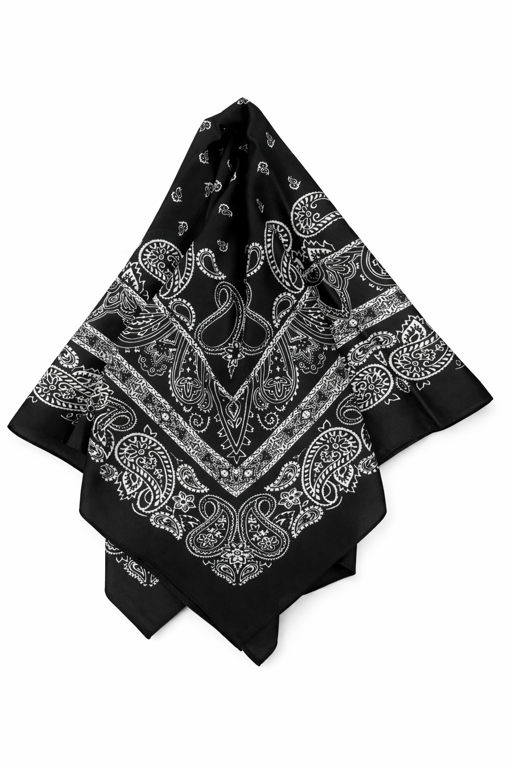 Paisley Bandana