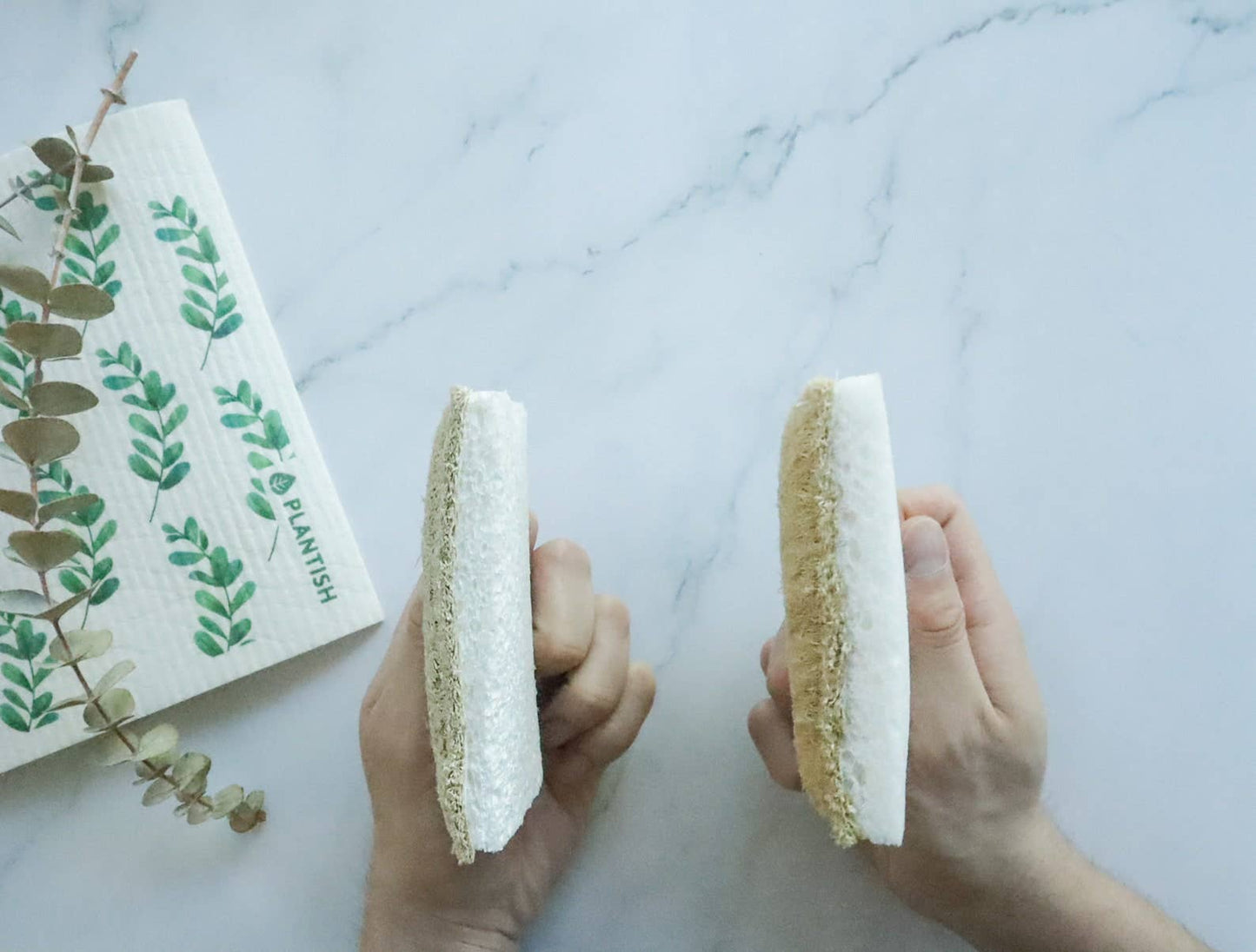 Eco Sponge: Single