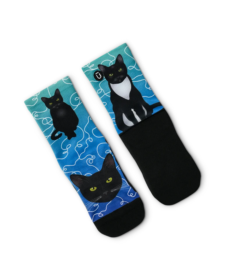 Kitten Around Youth Crew