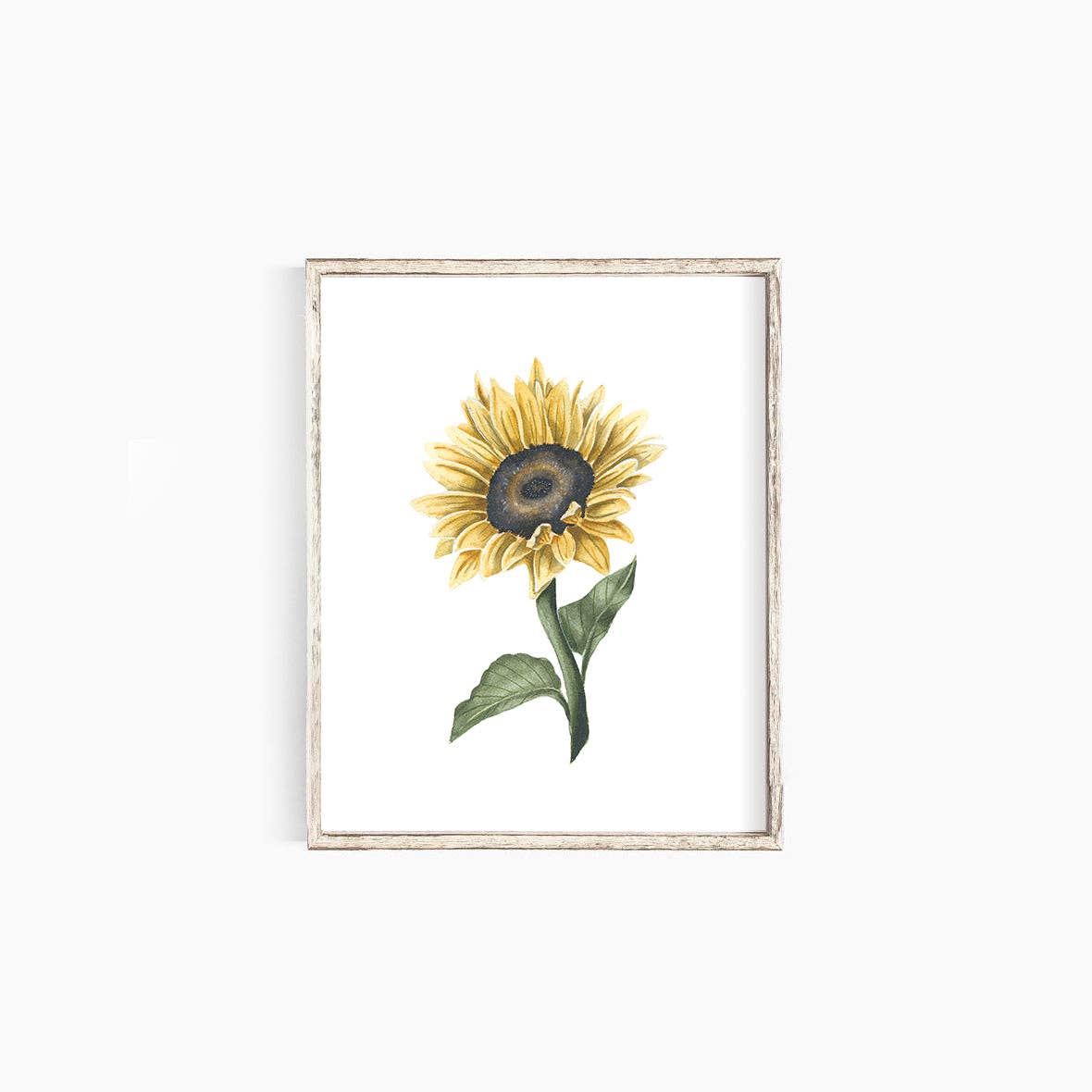 Sunflower II: 11x14”
