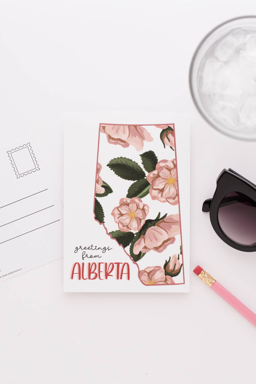 Alberta Wildrose Postcard - On White Background