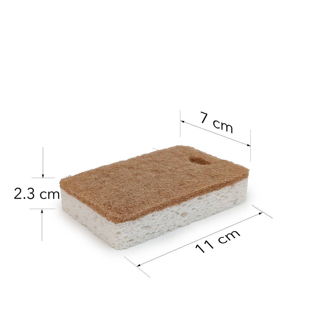 Walnut and Cellulose Biodegradable Scrubber Sponge: White