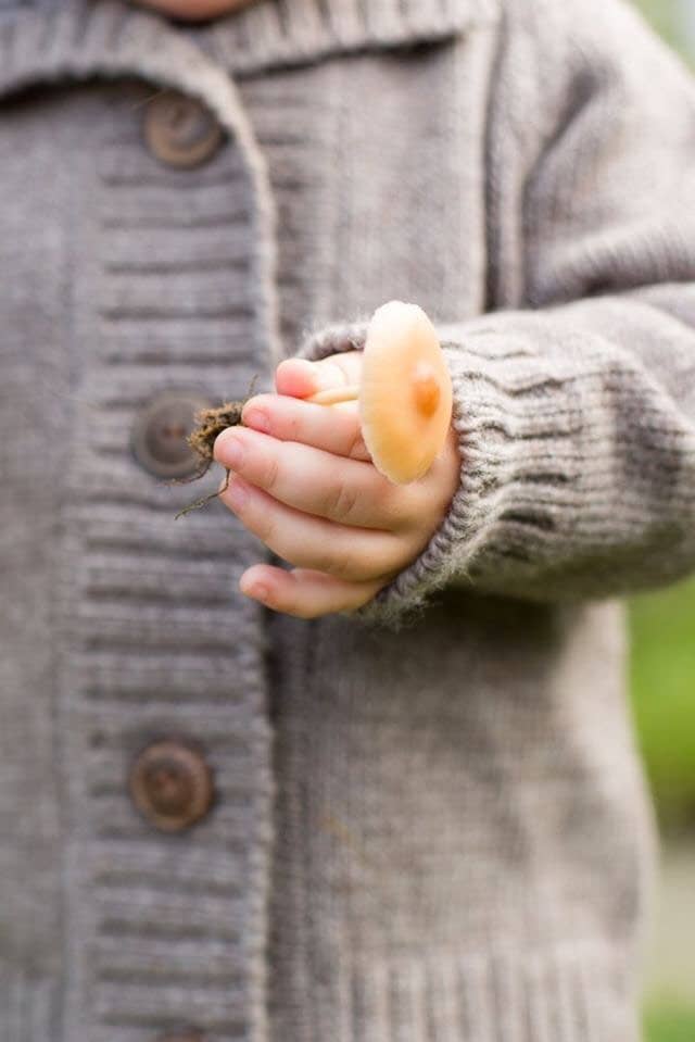 Caribou Merino Wool Knit Cardigan