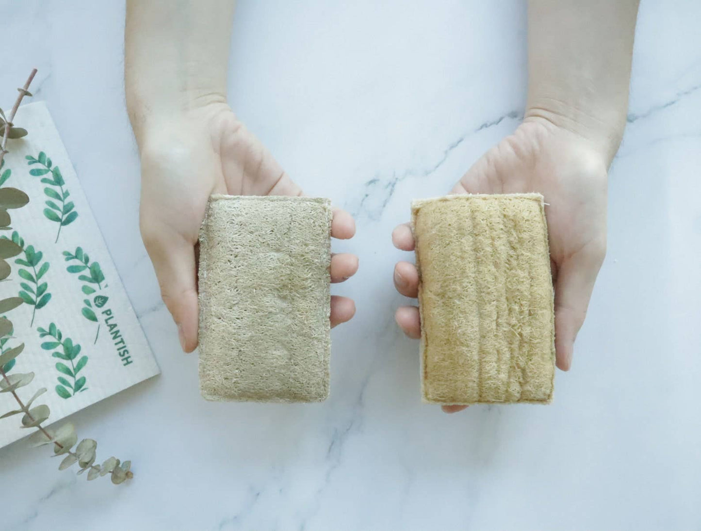 Eco Sponge: Single
