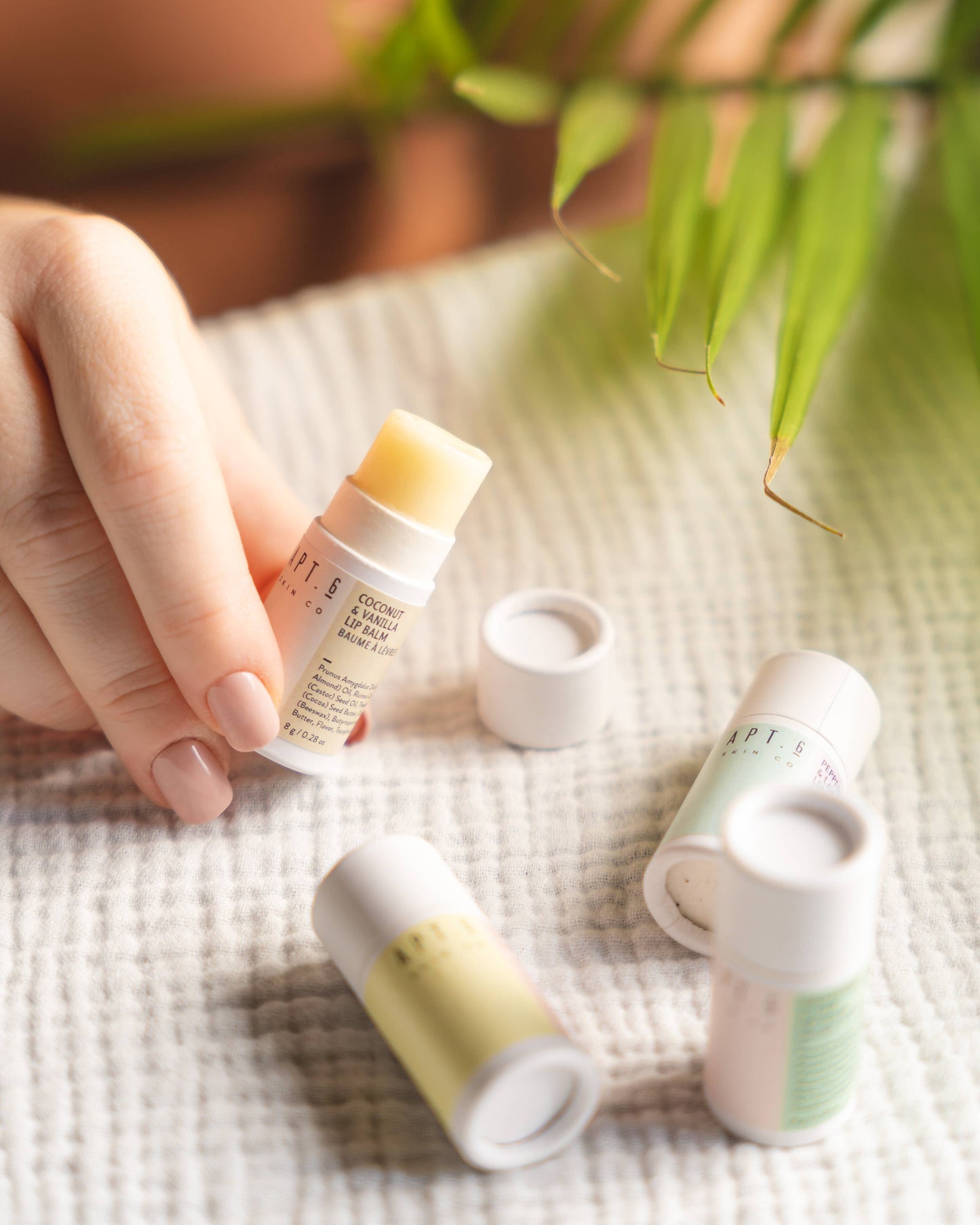 Compostable Lip Balms