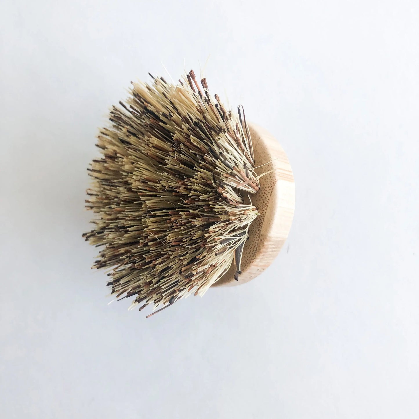 Natural Bamboo Pot & Dish Brush With Replaceable Head: Palm Brush