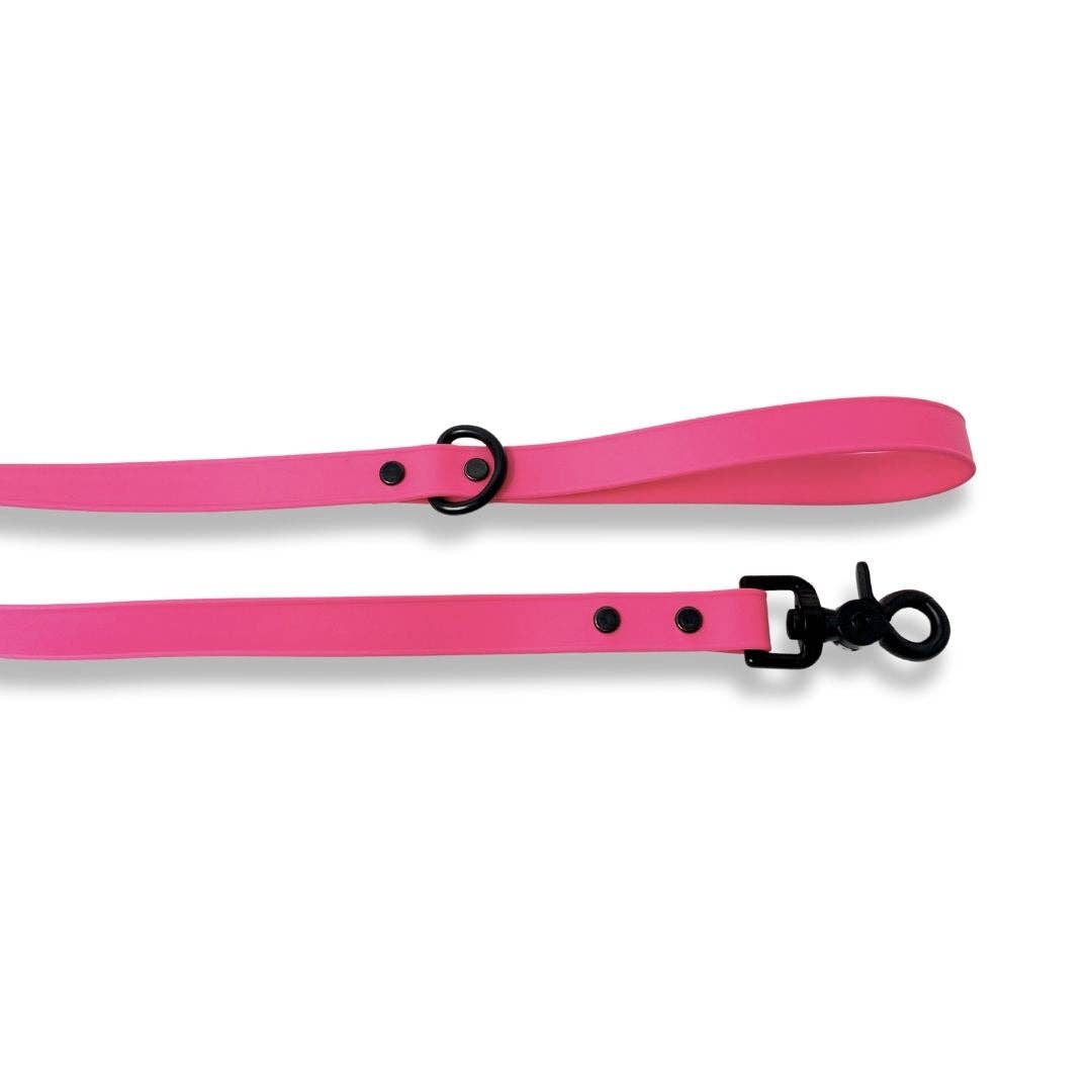 RMD Biothane Leashes: 5 ft