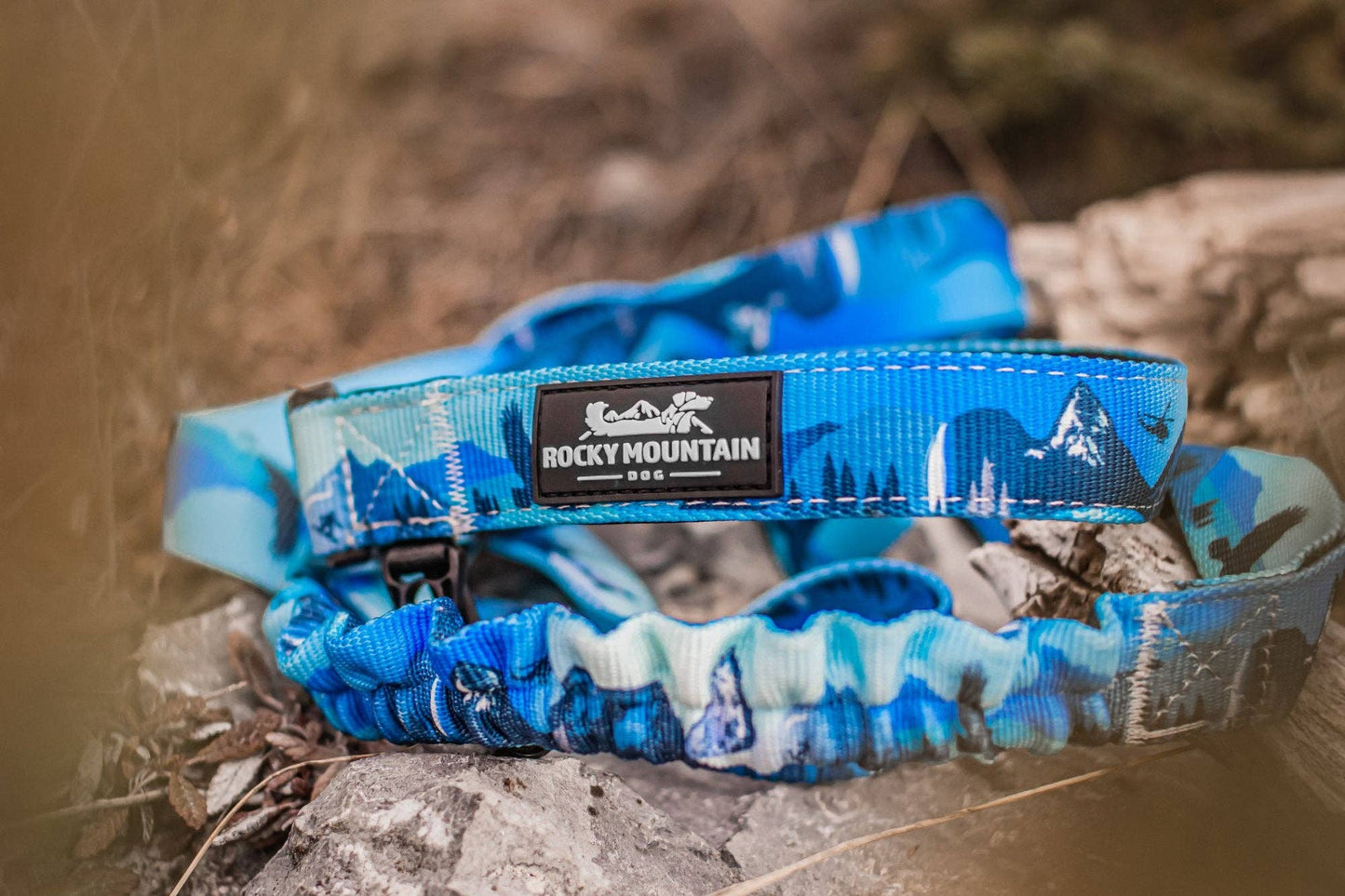 Kootenay All-Mountain Dog Leash: Blue (Winter) / 6 ft leash