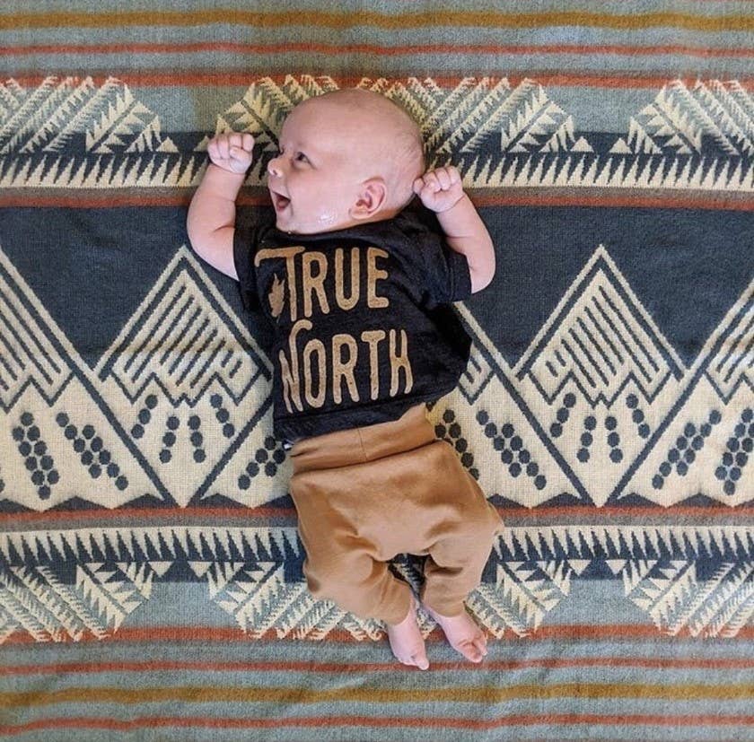 Mountain Baby Blanket - Mountain Lion