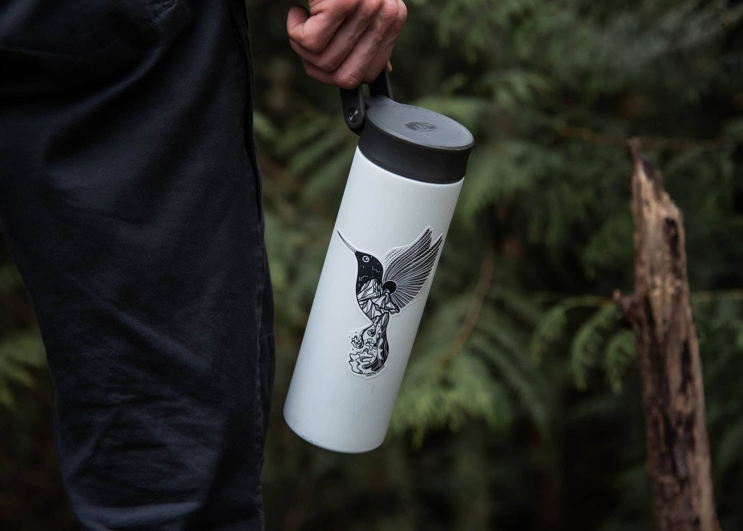 Hummingbird Sticker