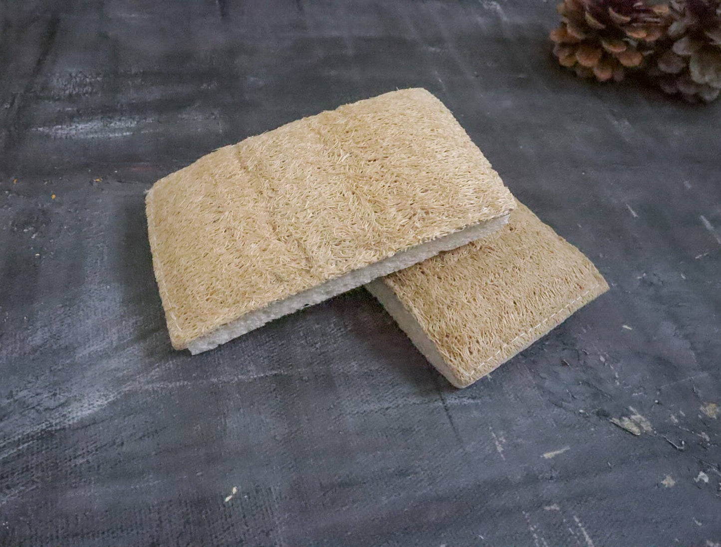 Eco Sponge: Single