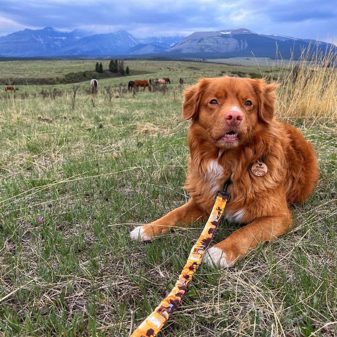 Yellowstone All Mountain Dog Leash: 6 Ft