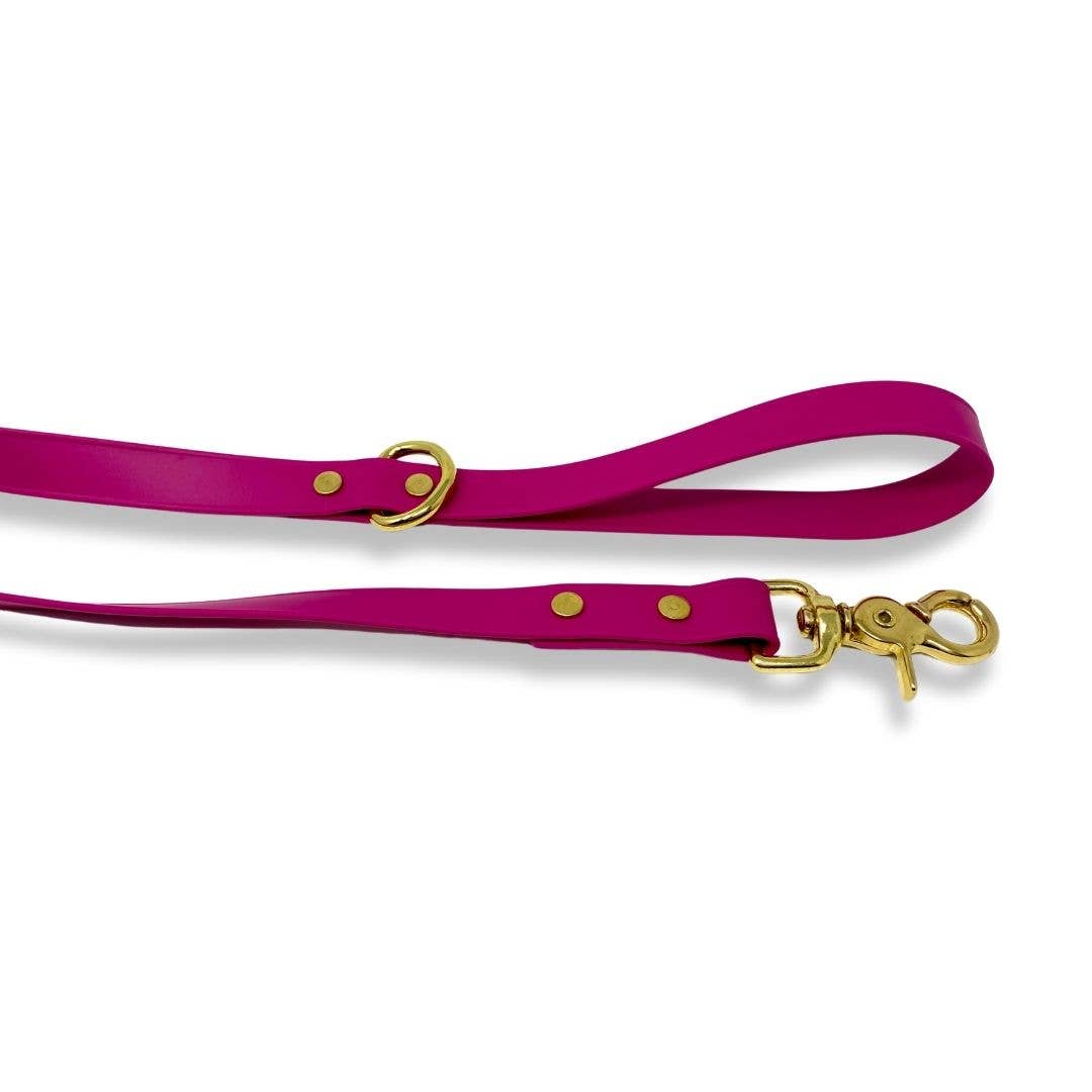 RMD Biothane Leashes: 5 ft