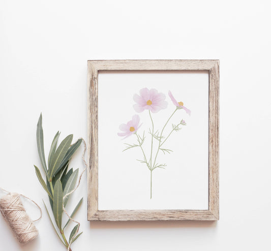 Cosmos Art Print