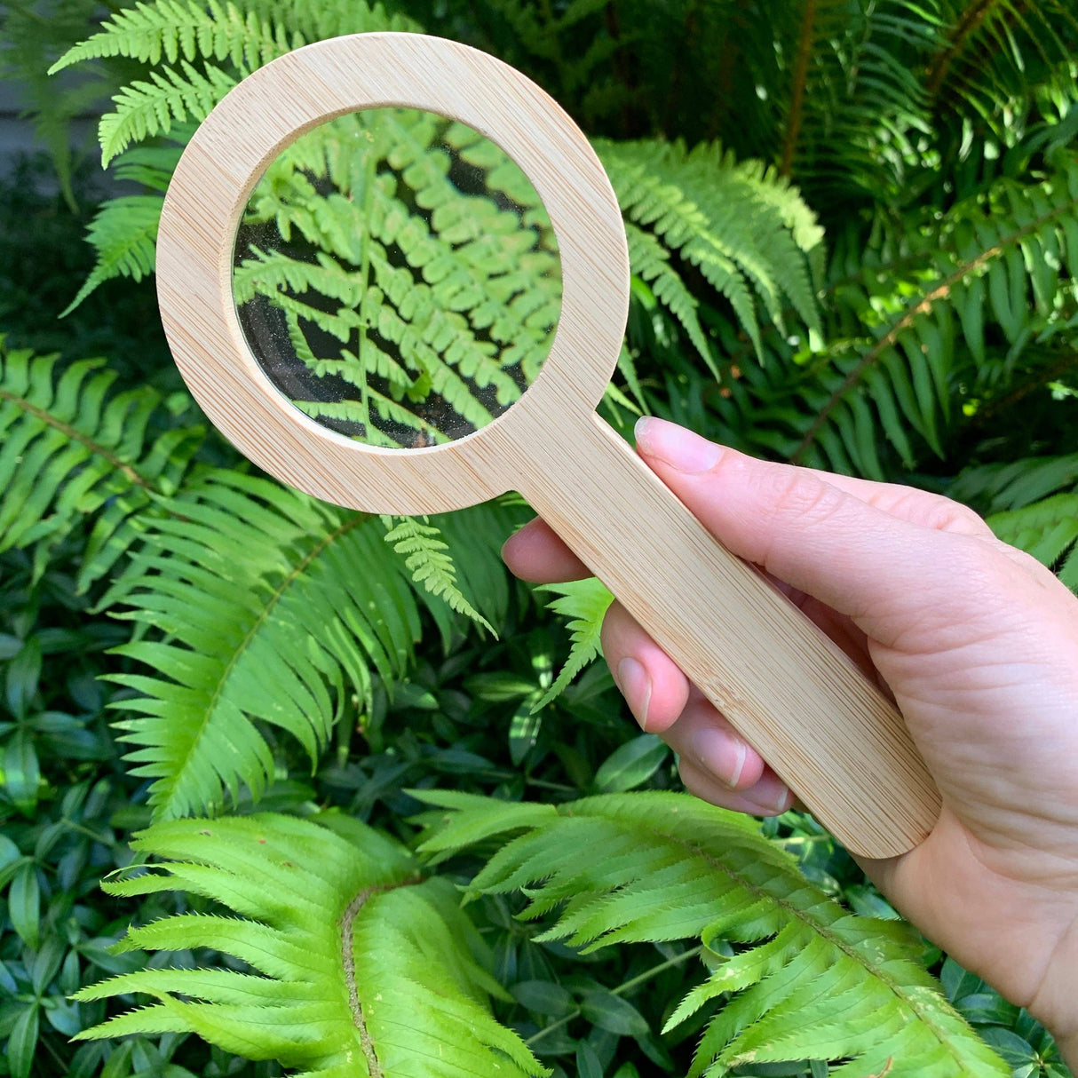 Magnifying Glass