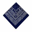 Paisley Bandana