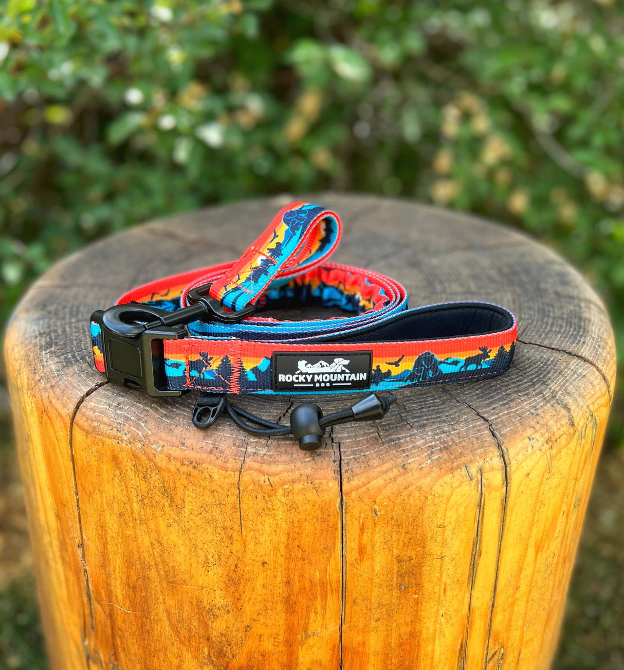 Banff All-Mountain Dog Leash