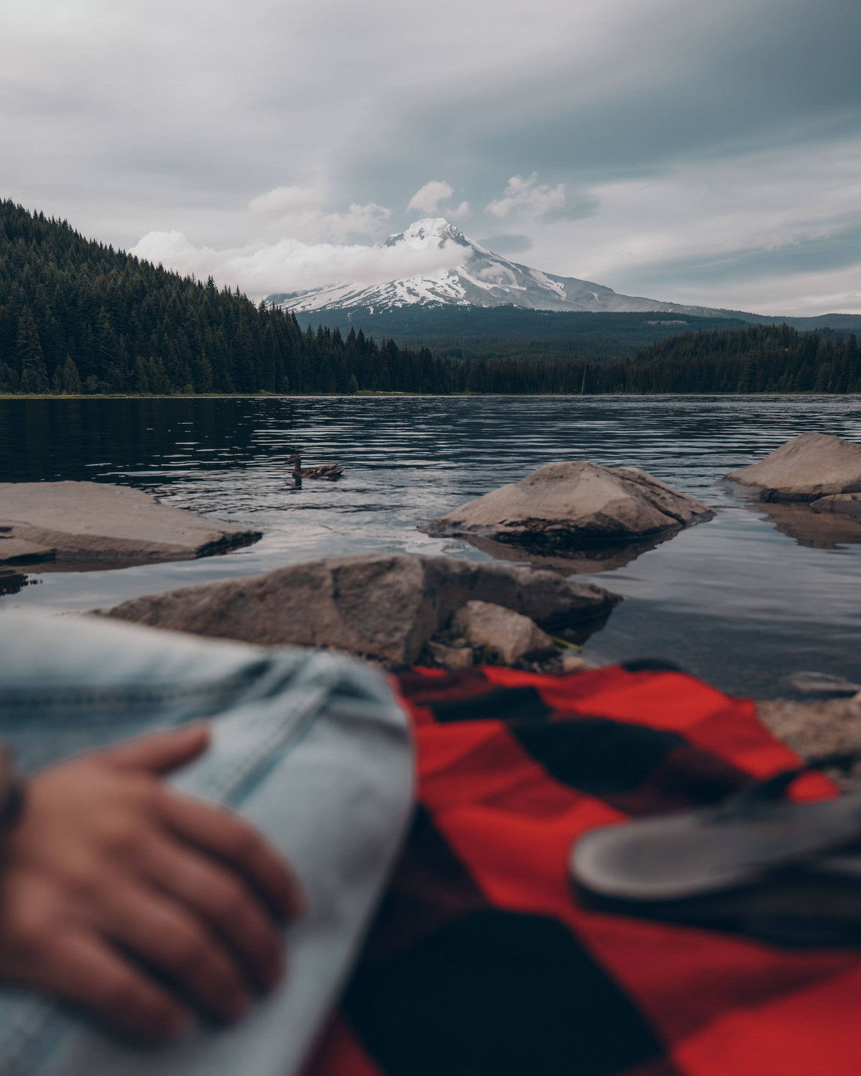Picnic Blanket - The Buffalo Wear Plaid
