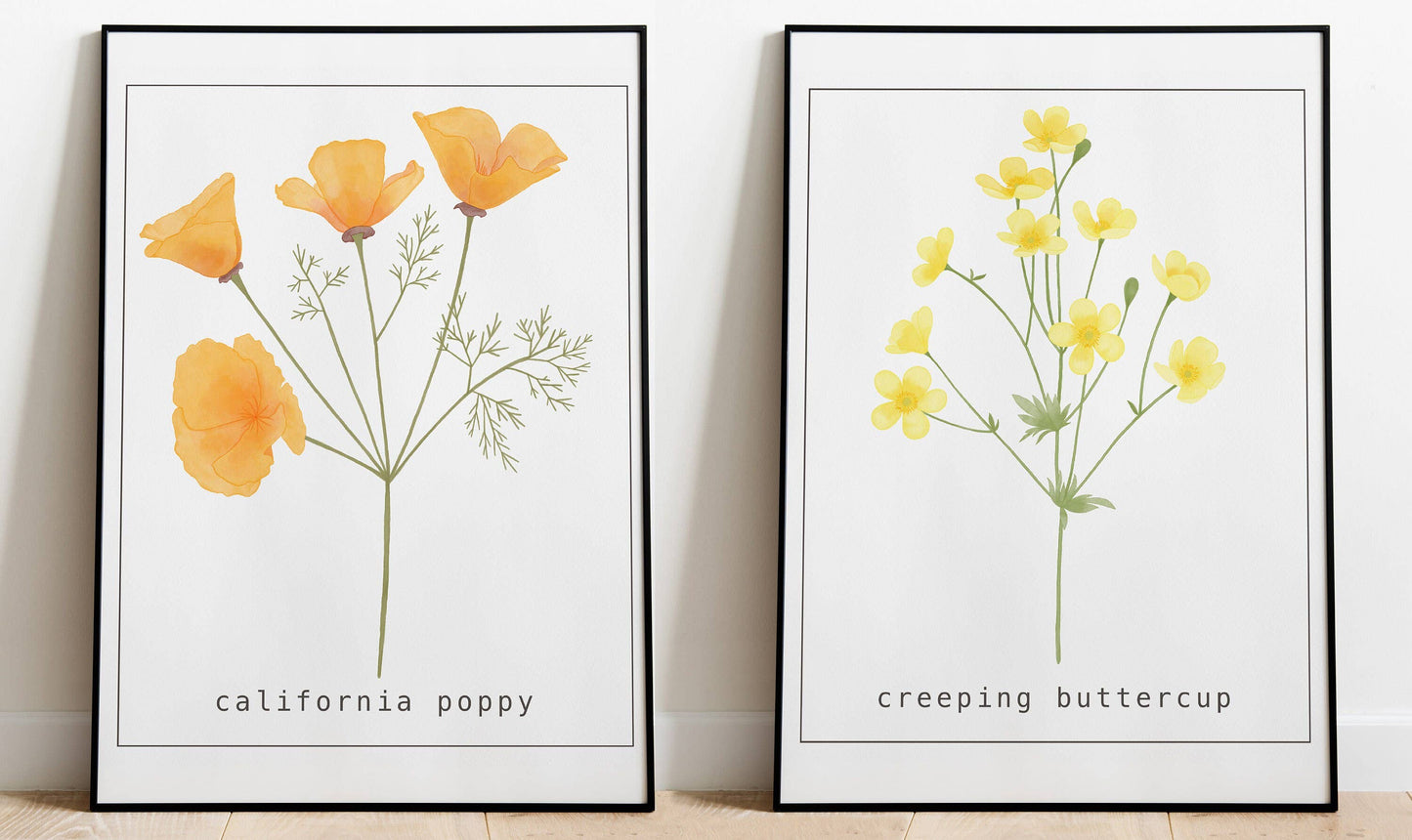 California Poppy Art Print
