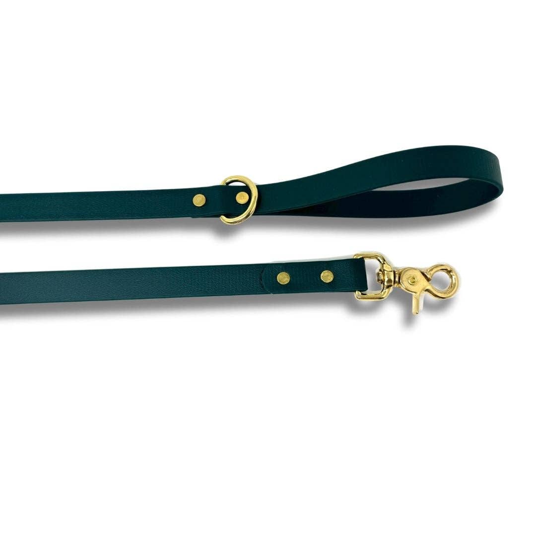 Waterproof Biothane Dog Leash: 8 ft