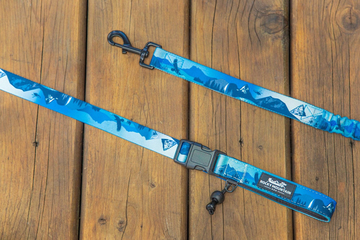 Kootenay All-Mountain Dog Leash: Blue (Winter) / 6 ft leash