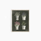 Potted Herb Chart: 8x10"