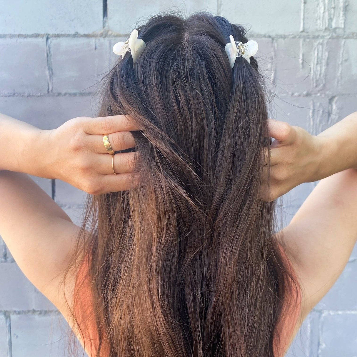 Butterfly Claw Clips - Pair of 2